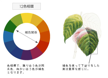 塗り方講座 大人の塗り絵クラブ