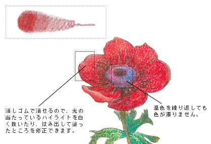 塗り方講座 クーピーペンシル編 大人の塗り絵クラブ