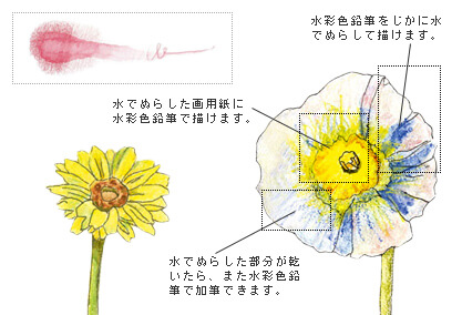 塗り方講座 水彩色鉛筆編 大人の塗り絵クラブ